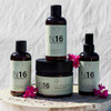 Shampoing Purifiant N16 Professionnel 500ml - hairStore.fr