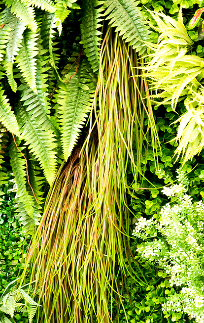 Branches