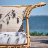 Franco Albini Belladonna Sofa Exterior
