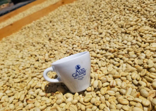 Café Alto Grande Specialty Grade Green Coffee